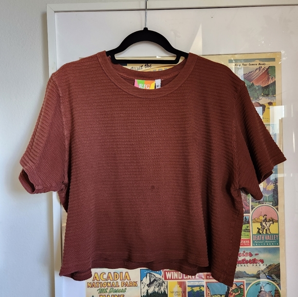 Big Bud Press Tops - Big Bud waffle brown cropped shirt (xl)